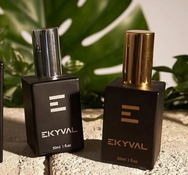 Parfum inspiration 30 ml Homme